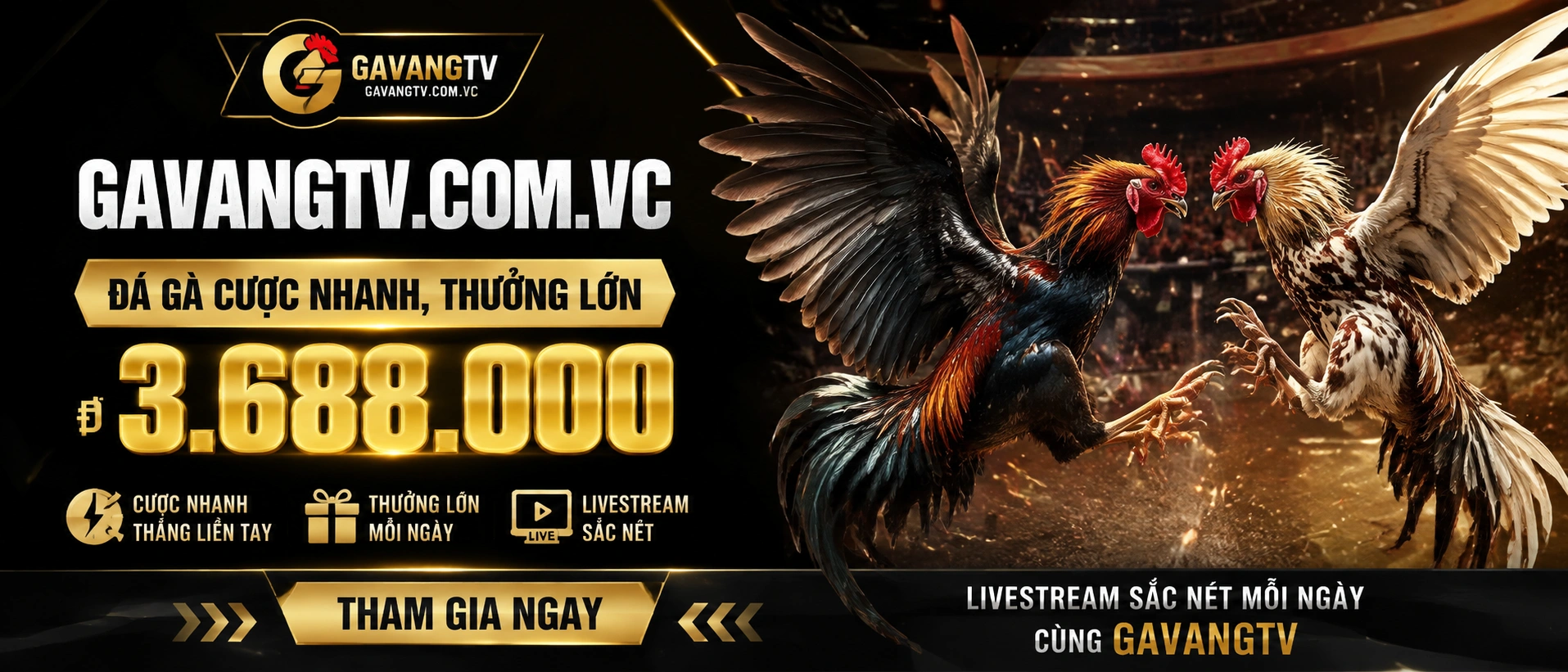 Danh mục Đá Gà Campuchia và cựa sắt trên gavangtv.com.vc