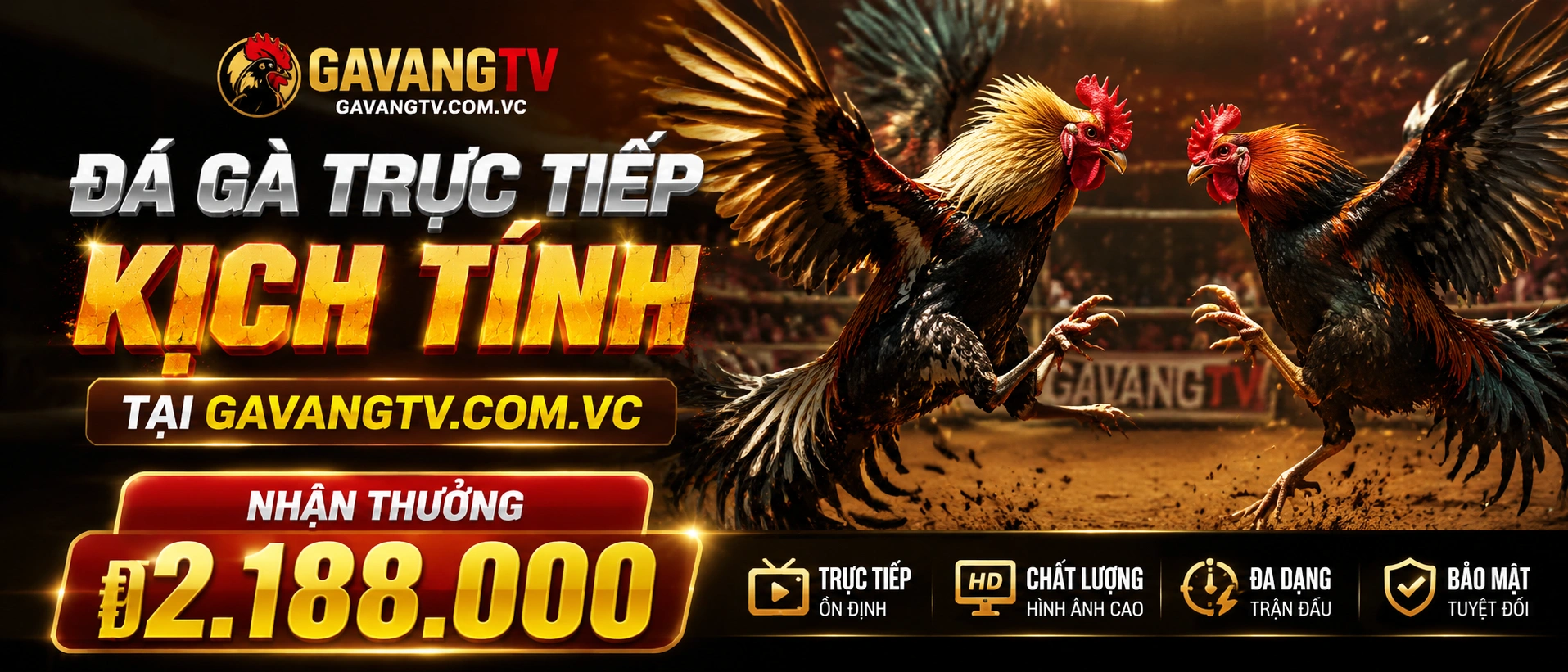 banner-1